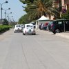 Montevago 2010 (280)